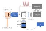 兵庫県立大学などの研究グループが酸化物磁性薄膜における光磁化スイッチングを実現 -- 希土類フリー酸化物で世界初の光スイッチングを観測