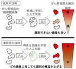 AIを用いたがん幹細胞の識別精度を向上させる技術を開発〜新しいがん診断法などへの応用に期待〜 東京工科大学