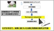 概要図２.jpg