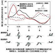 ES野田図２.jpg