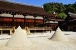 【京都産業大学】世界文化遺産 上賀茂神社の魅力を学生の視点で発信！伝統行事「賀茂の水まつり」の活性化に取り組む