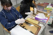 DSCF7381.JPG