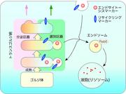 TUSCE_279_図3.jpg