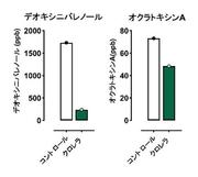 pr230824_fukuyama_3.jpg