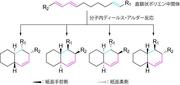 補足図１　分子内ディールス・アルダー反応により形成する４種類のデカリンの立体配置.jpg