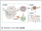 大阪大学膵がん治療図1.jpg