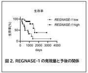 大阪大学膵がん治療図2.jpg