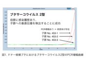 ドナー候補ブタにおけるブタサーコウィルス2型のPCR増幅曲線.png