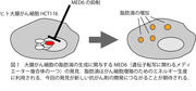 プレスリリース図1.jpg