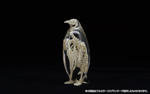 3D技術を活用した透明骨格標本「玉骨標本展 −3Dで深化する生物学の世界−」を開催【甲南女子大学】