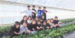 農学部生が栽培した「近大ICTイチゴ」を数量・期間限定で販売　今年初収穫した紅ほっぺ、とちおとめの食べ比べセット