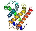 複雑な形状を持つタンパク質をゼロから人工設計することに成功【自然科学研究機構（分子科学研究所／生命創成探究センター）、理化学研究所、大阪大学、千葉大学】