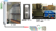 図1．研究で使用した飼育実験システムの概要図（海生研提供）.png