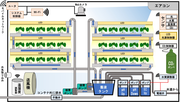 ２栽培システムの概要.png