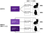 AI（人工知能）の世界最高峰の国際会議「AAAI-24」に採択～フーリエ変換を使った新しい画像認識手法を開発～