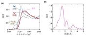 画像4_図3 黒漆膜のXANES測定、EXAFS測定結果.jpg