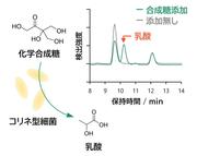 大阪大学Picture2.jpg