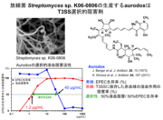 【図2】T3SS選択的阻害剤aurodox.png