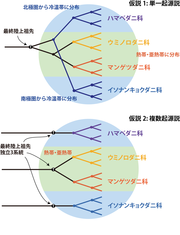 図2.png
