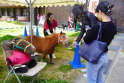 5_DSC07959.JPG