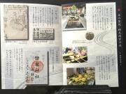 IMG_7808.jpeg