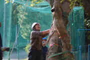 IMG_8596.JPG
