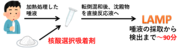技術概要.png