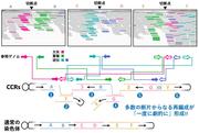 画像3.jpg