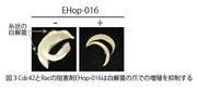 図3.jpg