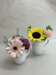 image_67130113.JPG