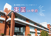 20240820_東薬in甲府ポスター.png
