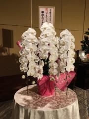 応援花.jpeg