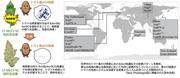 図1.jpg