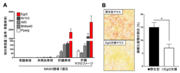 press_tanaka01.png