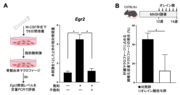 press_tanaka02.png