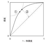 20240808-1.jpg