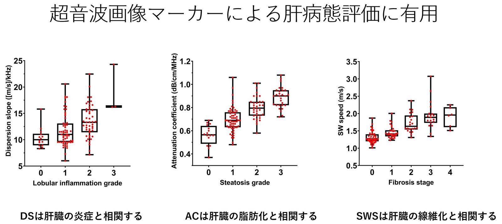 東京医科大学】超音波画像マーカーによる肝臓の炎症、脂肪化 東京医科大学】超音波画像マーカーによる肝臓の炎症、脂肪化