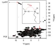 img05_20240826.png