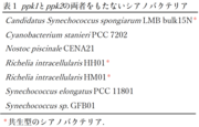 20241002press_image5.png