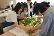 画像5.野菜栽培1 (軽）.jpg