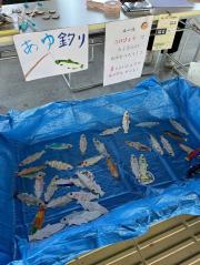 IMG_5635.jpeg
