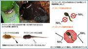 画像1.jpg
