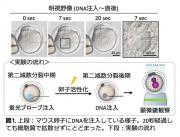 図1.jpg