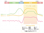図1 PMSが現れる時期と主な症状.png