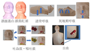 傷病者外観_画像.png