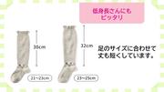 サイズ.jpg