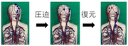 胸骨圧迫訓練_画像６.png