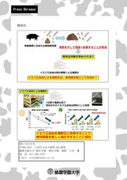241016プレスリリースHP (2).jpg