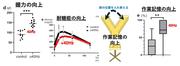 画像2.jpg