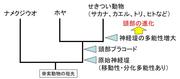 fig4.jpg